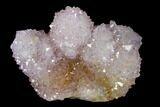 Cactus Quartz (Amethyst) Crystal Cluster - South Africa #137795-1